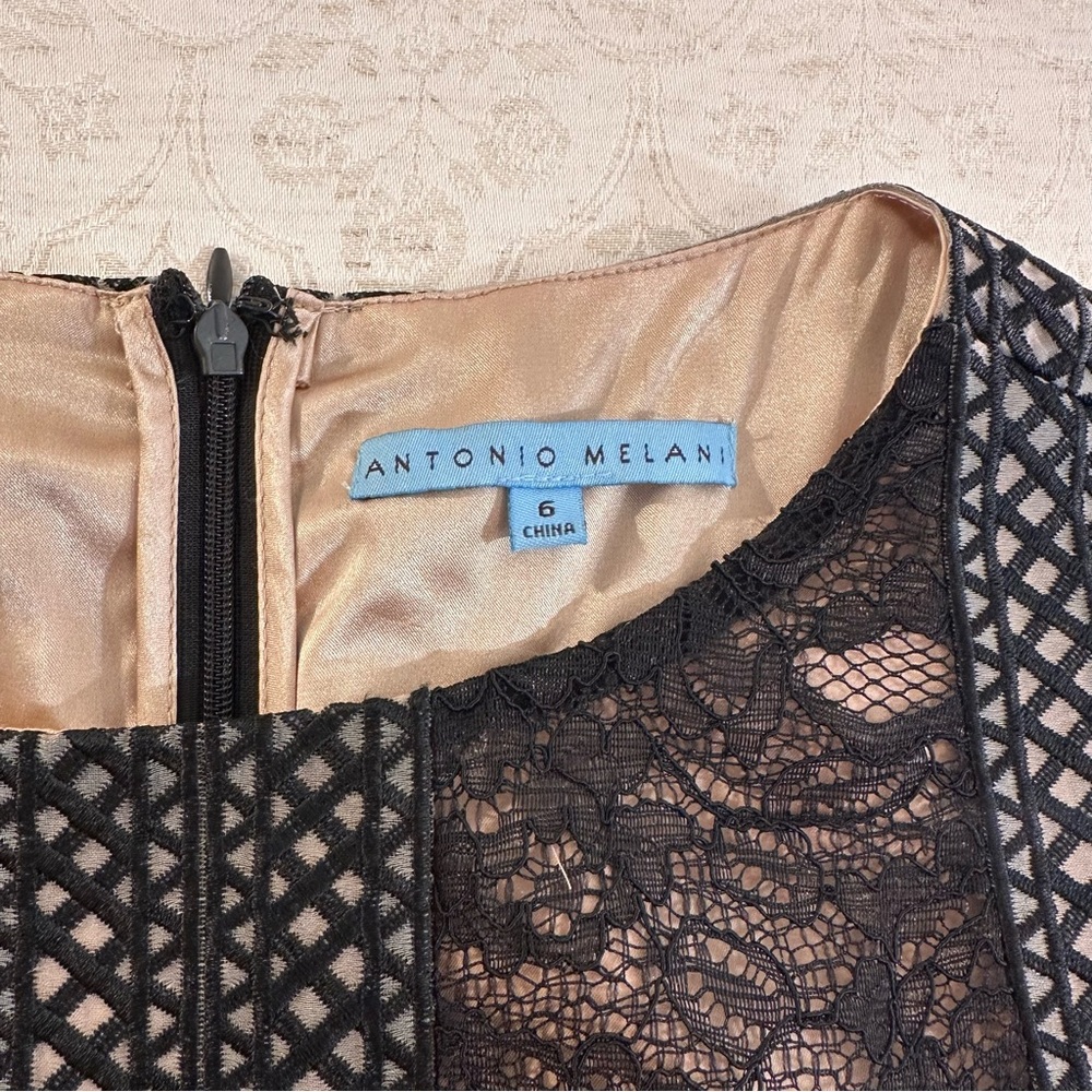 ANTONIO MELANI Black Lace Sleeve Dress - Picture 9 of 10